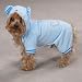 Casual Canine Animal Lounger Xsm Blue Bear