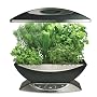 AeroGrow AeroGarden 6 Elite with Gourmet Herb Seed Kit, Black with Stainless Accents