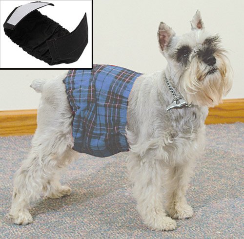 Male Doggy Wrap Blue - Small