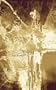 Vivisect (New Issues Poetry & Prose)