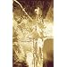 Vivisect (New Issues Poetry & Prose)