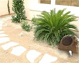 New Rock Landscape Speaker Outdoor Marine Boat Pool Spa