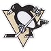 image_Pittsburgh Penguins