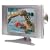 Audiovox FPE1505DV 15-Inch LCD TV with Built-in Progressive Scan DVD Player