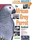 African Grey Parrot...