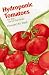 Book Hydroponic Tomatoes for the Home Gardener