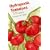 Hydroponic Tomatoes for the Home Gardener