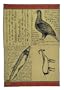 Faribault Mills Lewis and Clark Journal Pages 100% Virgin Wool Jacquard Throw
