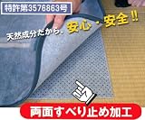 ダニスメンシートα 2帖用