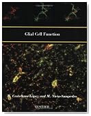 Glial Cell Function (Paperback) (Progress in Brain Research)