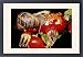 Framed Prints of Garden SNAIL - feeding on Rosehip from Ardea Wildlife Pets