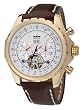 Perigaum Mens Gold Stainless w/ White Dial Navigator Watch