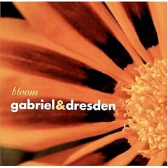Bloom