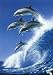 Dolphins (Jumping Over Wave) Art Poster Print - 24