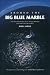 Around the Big Blue Marble: The Boc Challenge 1994-95 Single-Handed Race Around the World