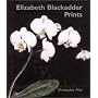 Elizabeth Blackadder Prints