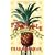 The Pineapple: King of Fruits