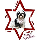Pet Star Hanukkah Cards - Shih-tzu by  Pet Star Photography