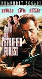 Petrified Forest