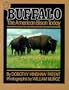 Buffalo: The American Bison Today
