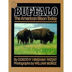 Buffalo: The American Bison Today