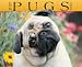 Book Just Pugs