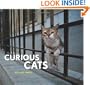 Curious Cats