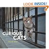 Curious Cats