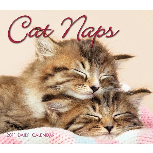 Cat Naps 2011 Daily Boxed Calendar (Calendar)