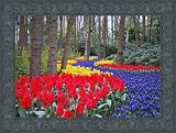 Review ArtToFrames  / 11x17 / 11 x 17 Picture Frame Matte Black .. 1.5'' wide