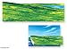 Search : Meadow Flannelboard Overlay - Large