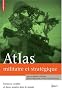 Atlas militaire et strat�gique : Menaces, conflits et forces arm�es dans le monde