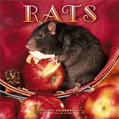 Rats Wall Calendar: 2004