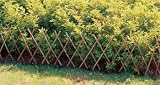 Expandable Willow Edging - 48" X 18"