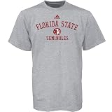 Adidas Florida State Seminoles (FSU) Ash Practice Short Sleeve T-shirt