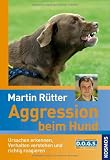 Aggression beim Hund: Ursachen erkennen, Verhalten verstehen und richtig reagieren