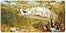 Golden Fly Tarpon - Art Print - License Plate Tag By Don Ray From Airstrike