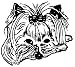 Dog Rubber Stamp - Yorkshire Terrier-5E (Size: 1-3/4