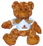 The Devil went down to New Jersey! Plush Teddy Bear with BLUE T-Shirt
