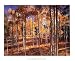 Autumn Aspens by John Gavrilis. CANVAS WITH BRUSHSTROKES with 1 1/2 inch bars. 26.40 inches width by 20.00 inches height. Highest Quality Art Poster Print