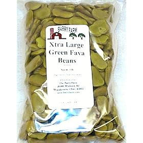 Fava, Extra Large, Green, 1 lb.