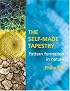 The Self-Made Tapestry: Pattern Formation in Nature