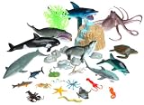  : Ollie's Sealife Party Bucket