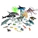 Ollie's Sealife Party Bucket