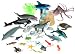 Search : Ollie's Sealife Party Bucket
