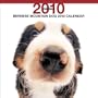 Bernese Mountain Dog 2010 Square Wall ARTLIST