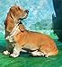 BASSET HOUND DOG looks back Med Figurine Resin NEW NIB 5688
