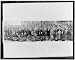 Fiftieth Anniversary Convention of the American Ornithologists' Union held at the Ame...