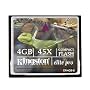 Kingston CF/4GB-S 4 GB ElitePro CompactFlash Card (Retail Package)