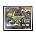 Electronics : Kingston CF/4GB-S 4 GB ElitePro CompactFlash Card (Retail Package)